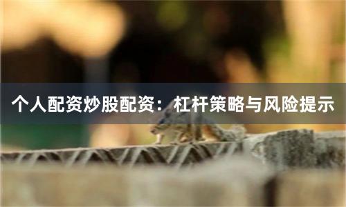 个人配资炒股配资：杠杆策略与风险提示